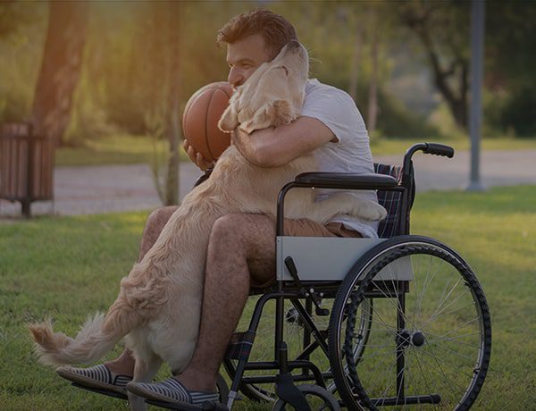Video: Dog Bites and Homeowners Insurance
